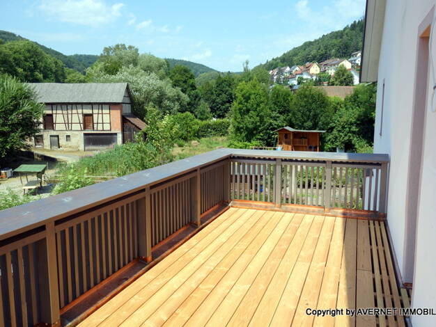 Haus zum Kauf 795.000 € 10 Zimmer 333 m² 649 m² Grundstück Stühlingen 79780