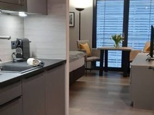 Wohnung zur Miete 859 € 1,5 Zimmer 26 m² 2. Geschoss Friedrich-Tritschler-Straße 2 Kirchheim Kirchheim unter Teck 73230