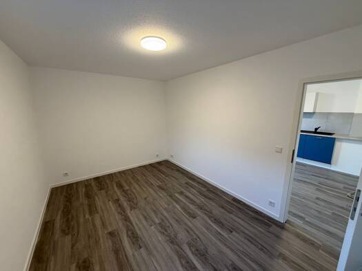 Wohnung zur Miete 375 € 1,5 Zimmer 41 m² Geschoss EG/3 frei ab sofort Nannhausen Nannhausen 55469