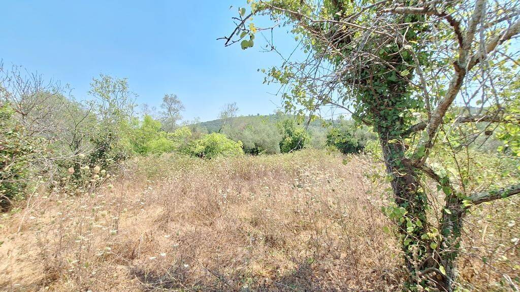 Land-/Forstwirtschaft zum Kauf 110.000 € 3.400 m² Grundstück Korfu