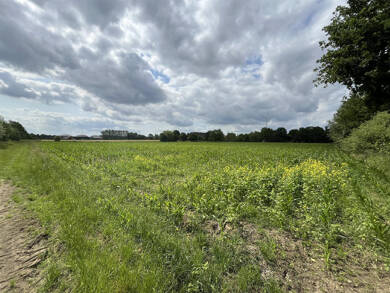 Land-/Forstwirtschaft zum Kauf 18.529 m² Grundstück Gievenbeck Münster-Nienberge 48161