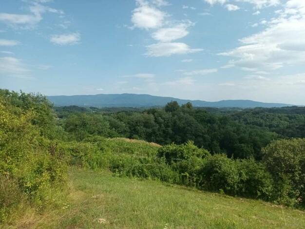 Land-/Forstwirtschaft zum Kauf 32.000 € Veliko Trgovisce 49214