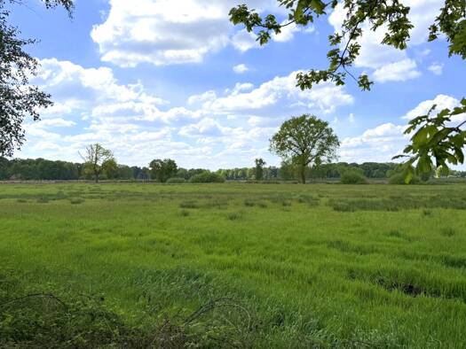 Land-/Forstwirtschaft zum Kauf 36.473 € 14.589 m² Grundstück Kleefeld Edewecht 26188