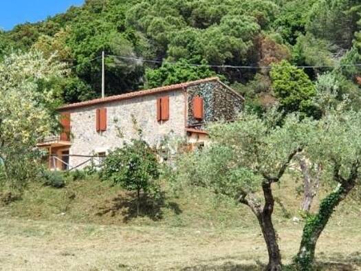 Haus zum Kauf 670.000 € 4 Zimmer 220 m² 65.000 m² Grundstück Riparbella 56046