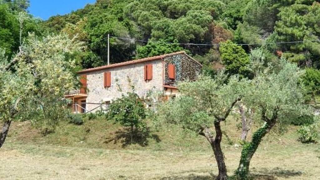 Haus zum Kauf 670.000 € 4 Zimmer 220 m² 65.000 m² Grundstück Riparbella 56046