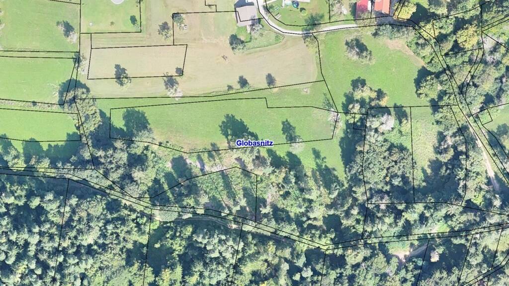 Land-/Forstwirtschaft zum Kauf 255.180 € 17.012 m² Grundstück Globasnitz 9142