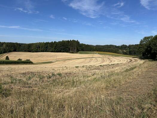 Land-/Forstwirtschaft zum Kauf 163.500 € 11.000 m² Grundstück Wetzl Zeilarn 84367
