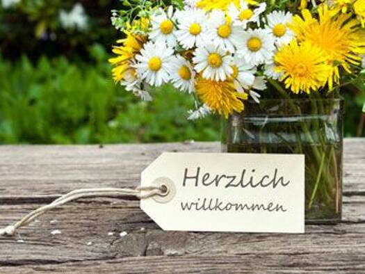 Wohnung zur Miete 220 € 2 Zimmer 45,5 m² 2. Geschoss frei ab sofort An der Kippe 35 Regis-Breitingen 04565