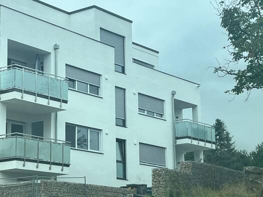 Wohnung zur Miete 2.450 € 7 Zimmer 210 m² Geschoss EG/3 frei ab sofort Könen Konz 54329