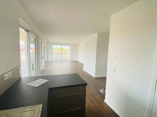 Penthouse zur Miete 1.250 € 3 Zimmer 106 m² frei ab sofort Ortsbereich Hohentengen 88367