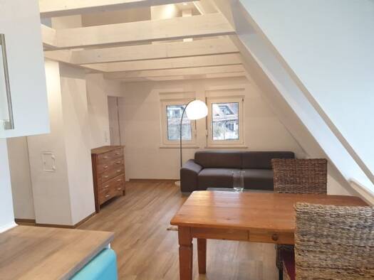 Wohnung zur Miete 805 € 2 Zimmer 42 m² Geschoss 2/3 frei ab sofort Lauf Lauf an der Pegnitz 91207