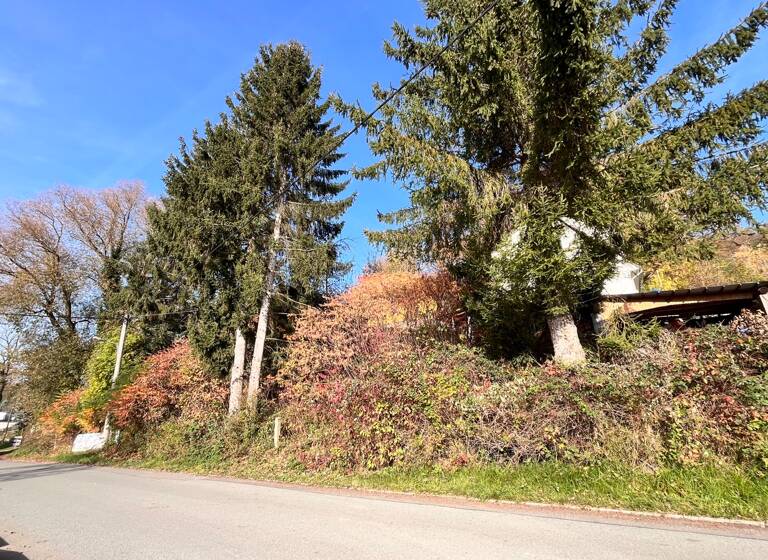 Grundstück zum Kauf 24.900 € 978 m²<br/>Grundstück Schneppendorf Zwickau 08058