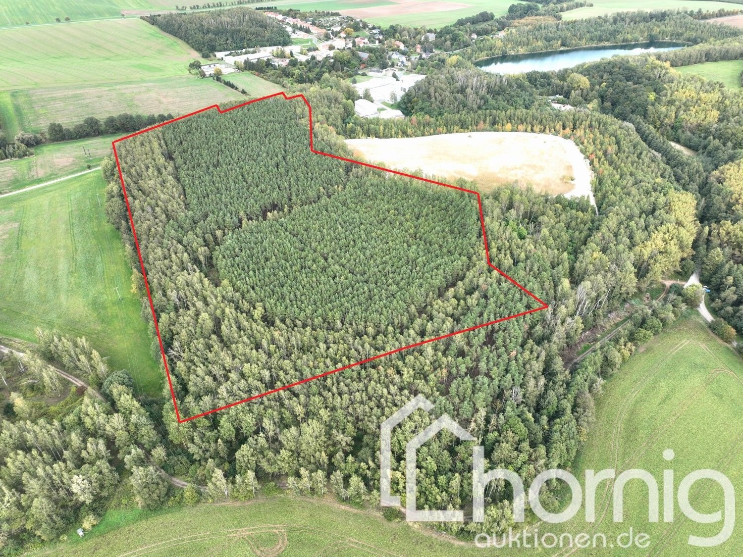 Land-/Forstwirtschaft zum Kauf 79.900 € 100.096 m²<br/>Grundstück Kemmlitz Mügeln / Kemmlitz 04769