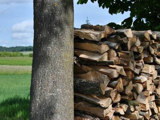 Einfamilienhaus zum Kauf 320.000 € 7 Zimmer 450 m² 600 m² Grundstück Torroella de Montgrí 17257