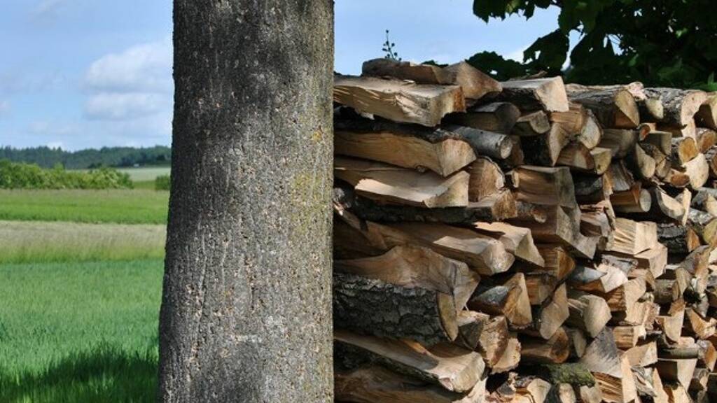 Einfamilienhaus zum Kauf 320.000 € 7 Zimmer 450 m² 600 m² Grundstück Torroella de Montgrí 17257