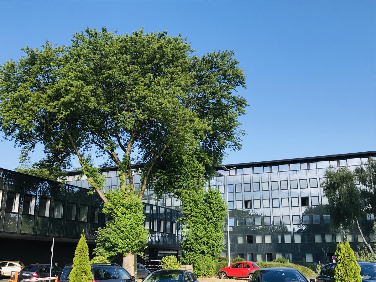 Bürofläche zur Miete provisionsfrei 6,50 € 797,6 m²<br/>Bürofläche ab 797,6 m²<br/>Teilbarkeit Friemersheim Duisburg 47229