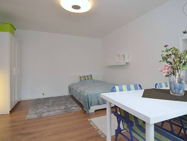 Studio zur Miete auf Zeit 990 € 1 Zimmer 30 m² frei ab sofort Mainz-Kostheim 55246