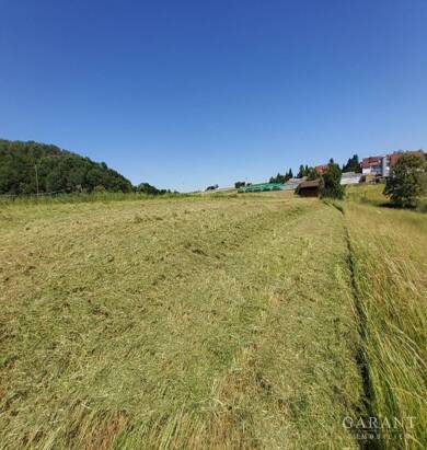 Land/Forstwirtschaft kaufen in Stuttgart Wangen immowelt
