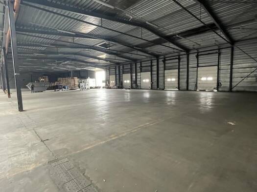 Lagerhalle zur Miete 4.000 m² Lagerfläche Frankenthal Frankenthal (Pfalz) 67227