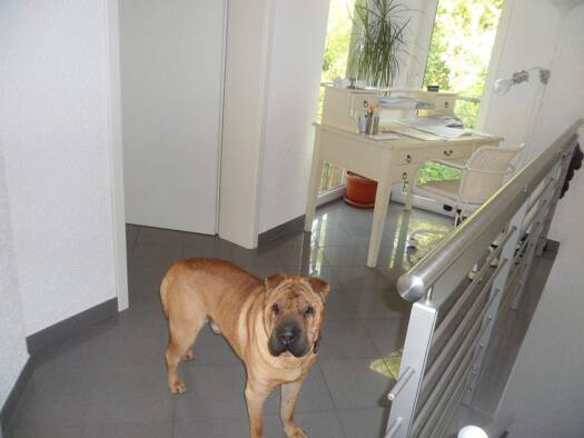 Loft zur Miete 1.200 € 4 Zimmer 120 m² kreisstrasse Gersweiler Saarbrücken 66128