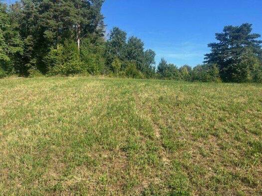 Grundstück zum Kauf 2.019 m² Grundstück Pinkafeld 7423