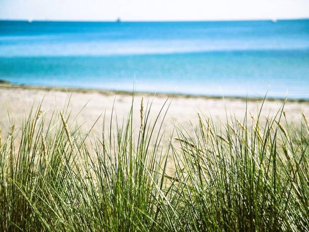 Einfamilienhaus zum Kauf provisionsfrei 450.000 € 10 Zimmer 360 m² 7.123 m² Grundstück Kaltenhof Nordwestmecklenburg - Landkreis - Dassow 23942