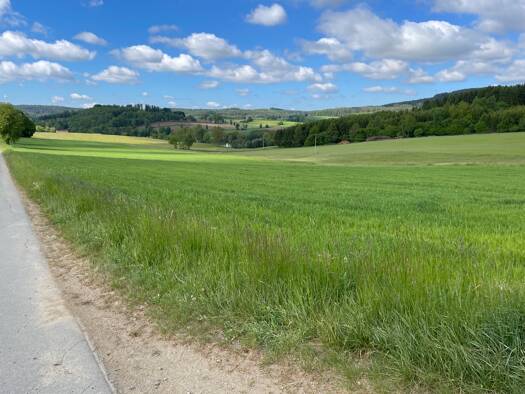 Land-/Forstwirtschaft zum Kauf 25.113 m² Grundstück Miesbrunn Pleystein / Miesbrunn 92714