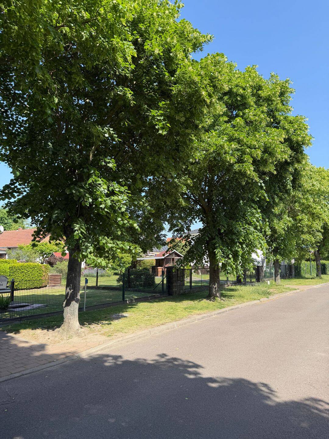 Grundstück zum Kauf - Widok 4