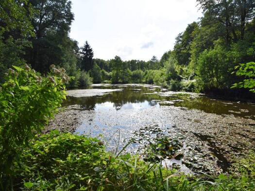 Grundstück zum Kauf 129.000 € 15.550 m² Grundstück Rausdorf 22929