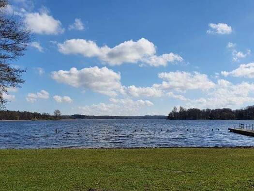 Mehrfamilienhaus zum Kauf provisionsfrei 450.000 € 11 Zimmer 500,6 m² 840 m² Grundstück frei ab sofort Westensee 24259