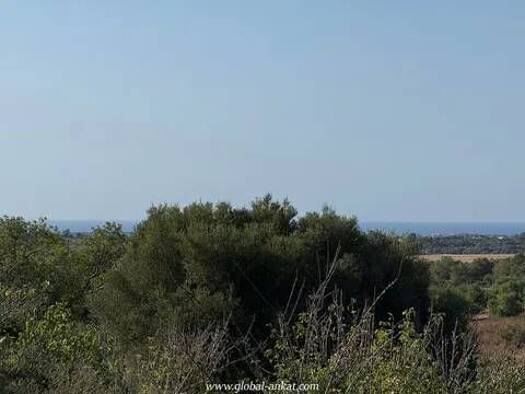 Bauernhaus zum Kauf 620.000 € 3 Zimmer 334 m² Manacor Centro Manacor 07680