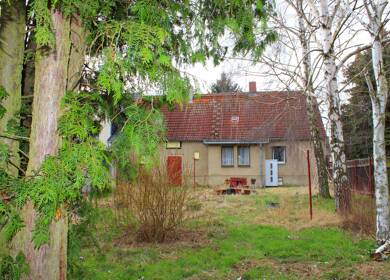 Einfamilienhaus zum Kauf 75.000 € 4 Zimmer 120 m² 1.907 m² Grundstück frei ab sofort Thomas-Müntzer-Siedlung 9 Farnstädt Farnstädt 06279