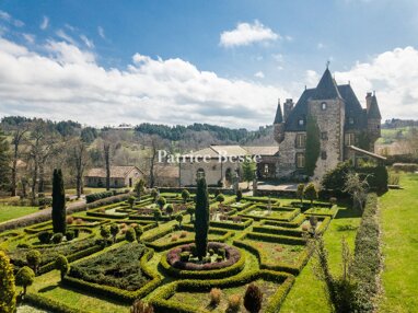 Schloss zum Kauf 680.000 € 20 Zimmer 781 m² 54.073 m² Grundstück Saint-Flour 15100