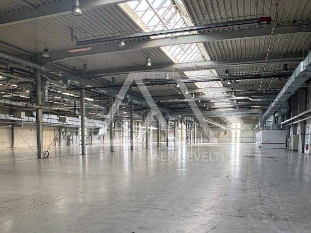 Halle/Industriefläche zur Miete provisionsfrei 7.339,3 m² Lagerfläche teilbar ab 1.443 m² Haldensleben 39340