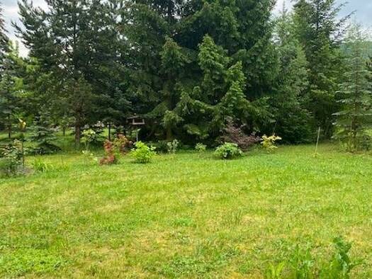 Grundstück zum Kauf provisionsfrei 900 € 1.000 m² Grundstück frei ab sofort Bleicherode Bleicherode 99752