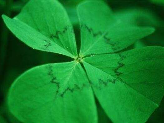 Grundstück zum Kauf 877.000 € 2.957 m² Grundstück Gramartstraße Hötting Innsbruck 6020