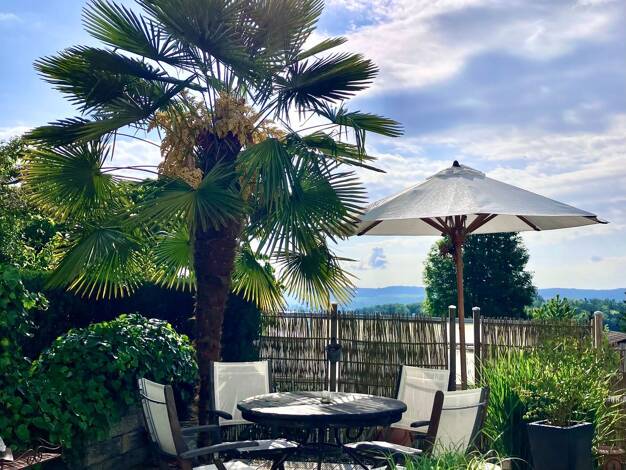 Terrassenwohnung zum Kauf 369.500 € 2,5 Zimmer 94 m² frei ab sofort Weiler Berg 88276