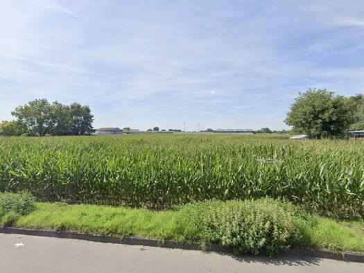 Grundstück zum Kauf 1.400.000 € 10.037 m² Grundstück Ginderich Wesel 46487