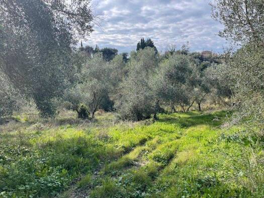 Land-/Forstwirtschaft zum Kauf 75.000 € 7.754 m² Grundstück Korfu