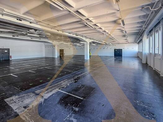 Halle/Industriefläche zur Miete 5.402 € 771,8 m² Lagerfläche Waldegg Linz 4020