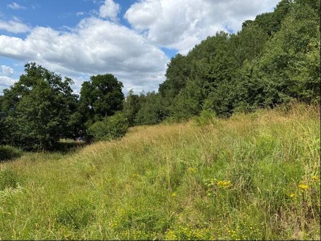Land-/Forstwirtschaft zum Kauf 18.000 € 12.025 m² Grundstück Bengendorf Heringen 36266