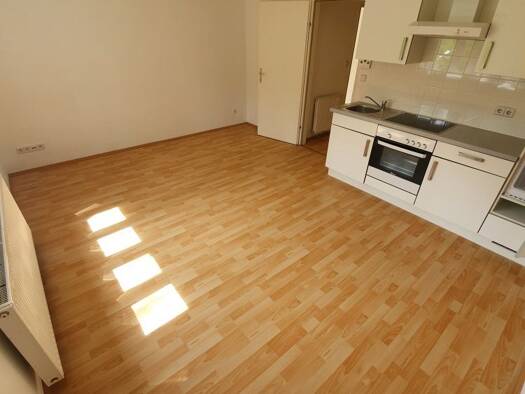 Wohnung zur Miete 395 € 3 Zimmer 55,5 m² Wlassakstraße 43 Wien 1130