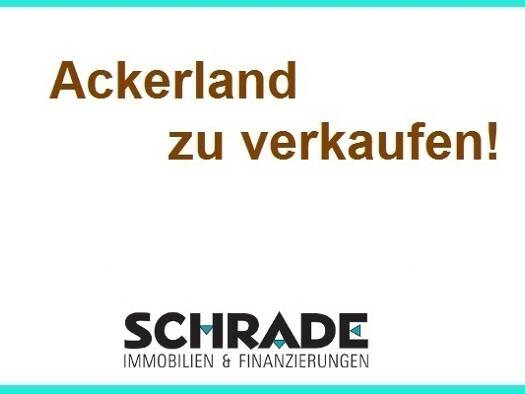 Land-/Forstwirtschaft zum Kauf 150.000 € 74.248 m² Grundstück Silberhütte Harzgerode 06493