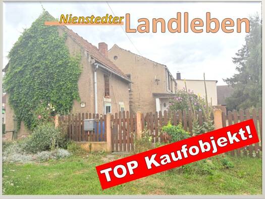 Doppelhaushälfte zum Kauf 44.444 € 5 Zimmer 111,8 m² 1.129 m² Grundstück frei ab sofort Dorfstraße 45 A Nienstedt Allstedt 06542