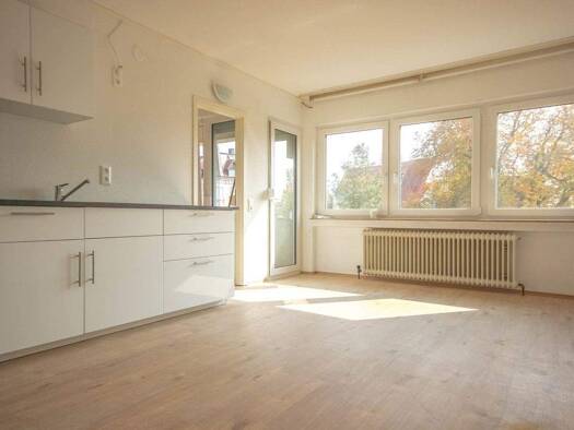 Wohnung zur Miete 675 € 1,5 Zimmer 35,4 m² Mitte Ulm 89073