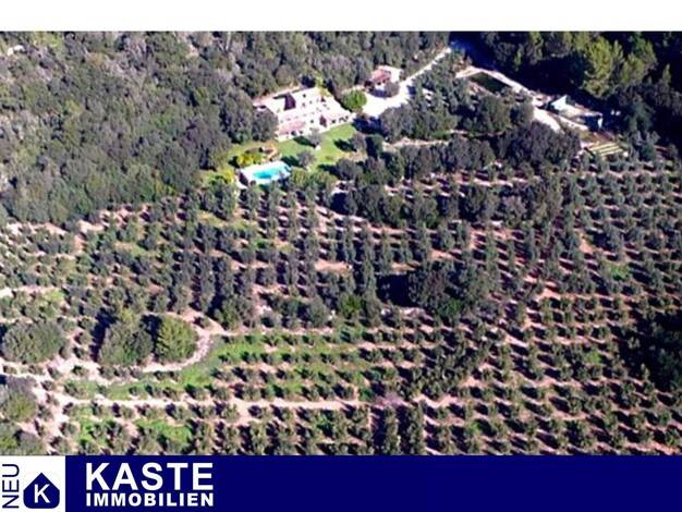 Haus zum Kauf provisionsfrei 5.200.000 € 7 Zimmer 500 m² 70.000 m² Grundstück Esporles