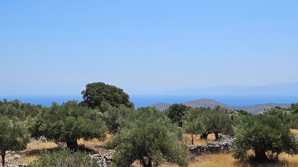 Land-/Forstwirtschaft zum Kauf 320.000 € 2.610 m² Grundstück Kreta