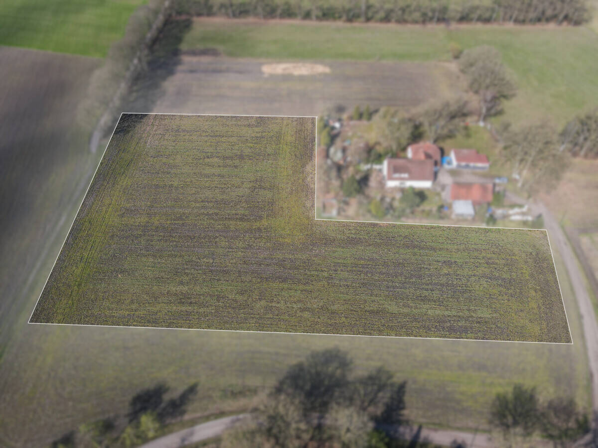 Land-/Forstwirtschaft zum Kauf - Ansicht 2