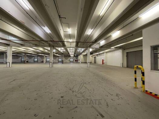 Lagerhalle zur Miete 5.500 m² Lagerfläche Bad Oldesloe 23843