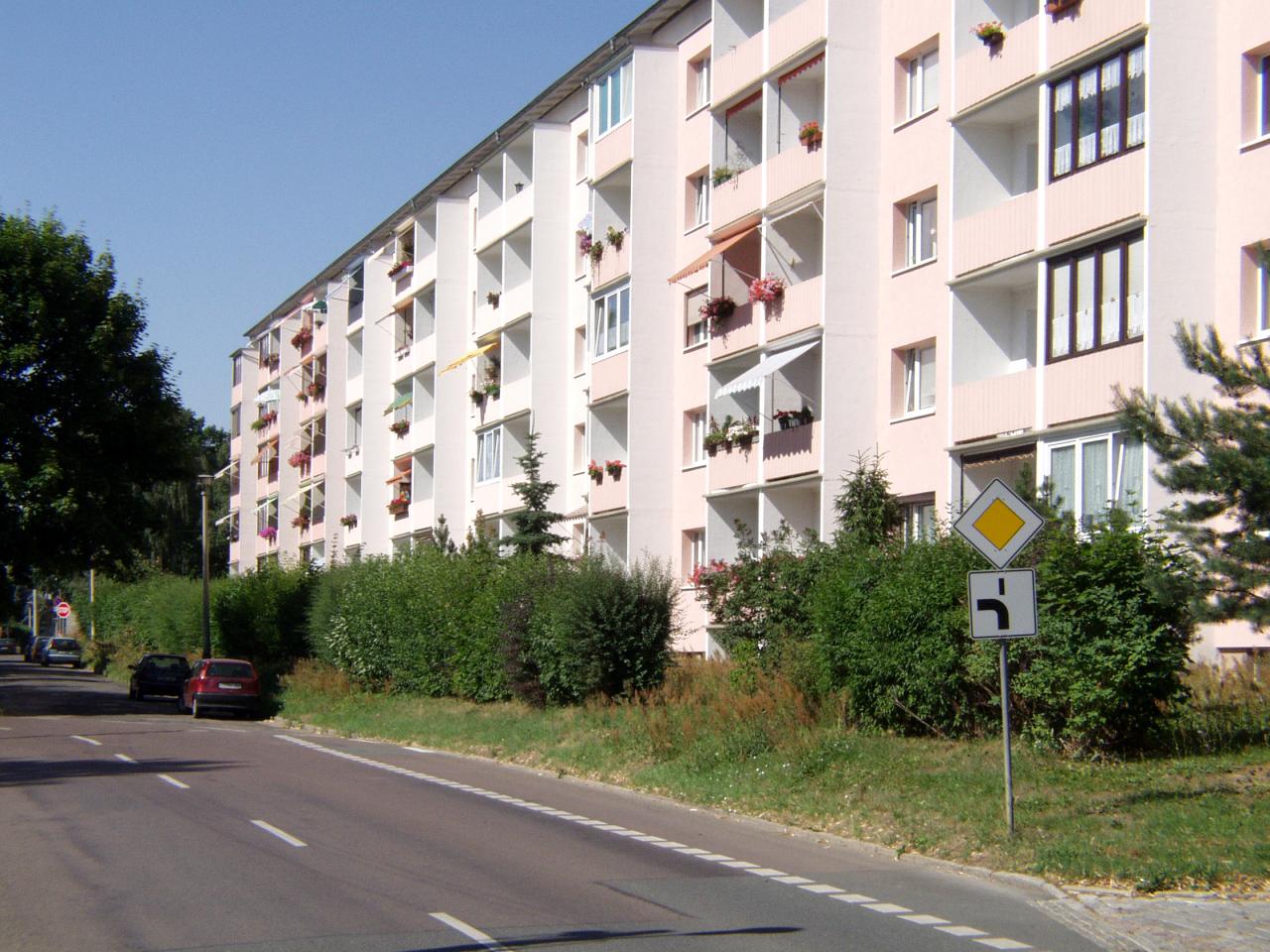 Wohnung zur Miete 294 € 2 Zimmer 48,9 m²<br/>Wohnfläche 4.<br/>Geschoss Poppitzer Str. 53D Altriesa Riesa 01589